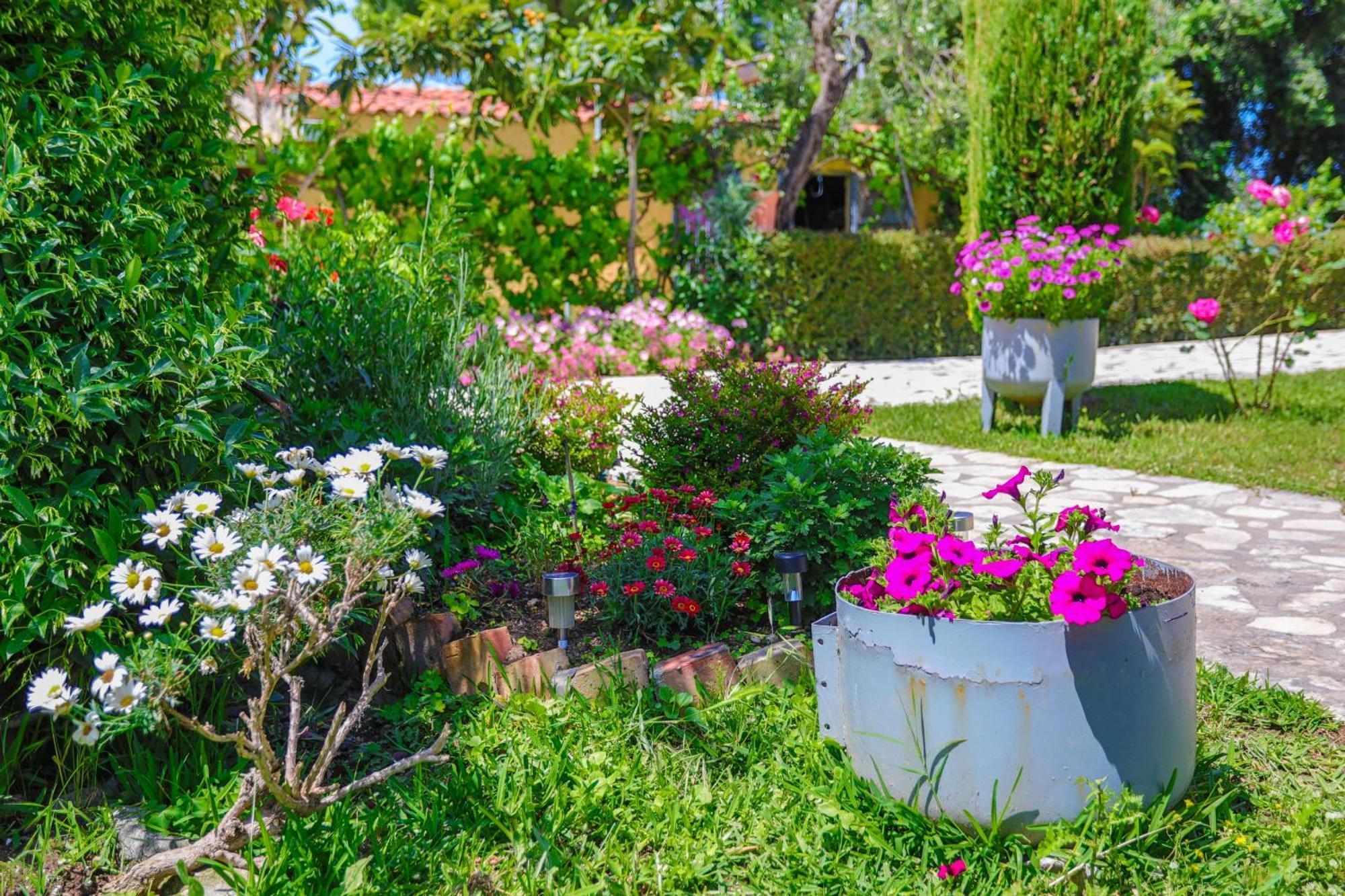 Amarylis Apartment Almiros Beach Bagian luar foto